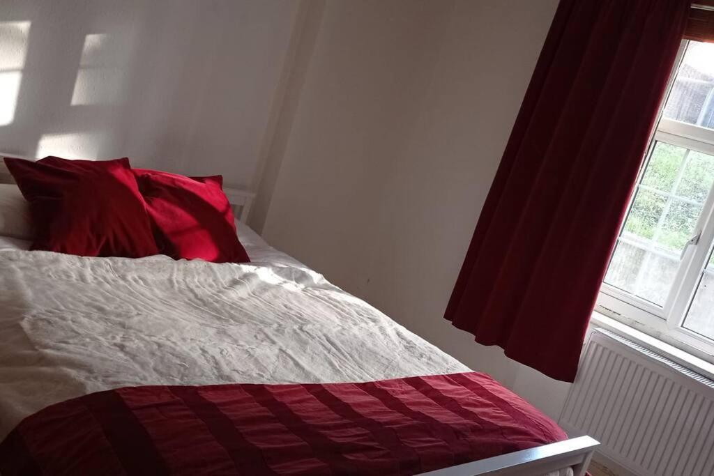 Sunny And Spacious Flat In Nw3 London Kültér fotó